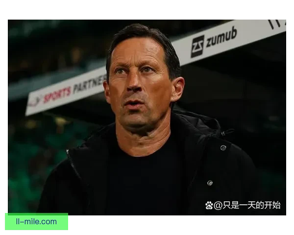 本菲卡宣布解雇主教练施密特 决定背后原因引发广泛讨论